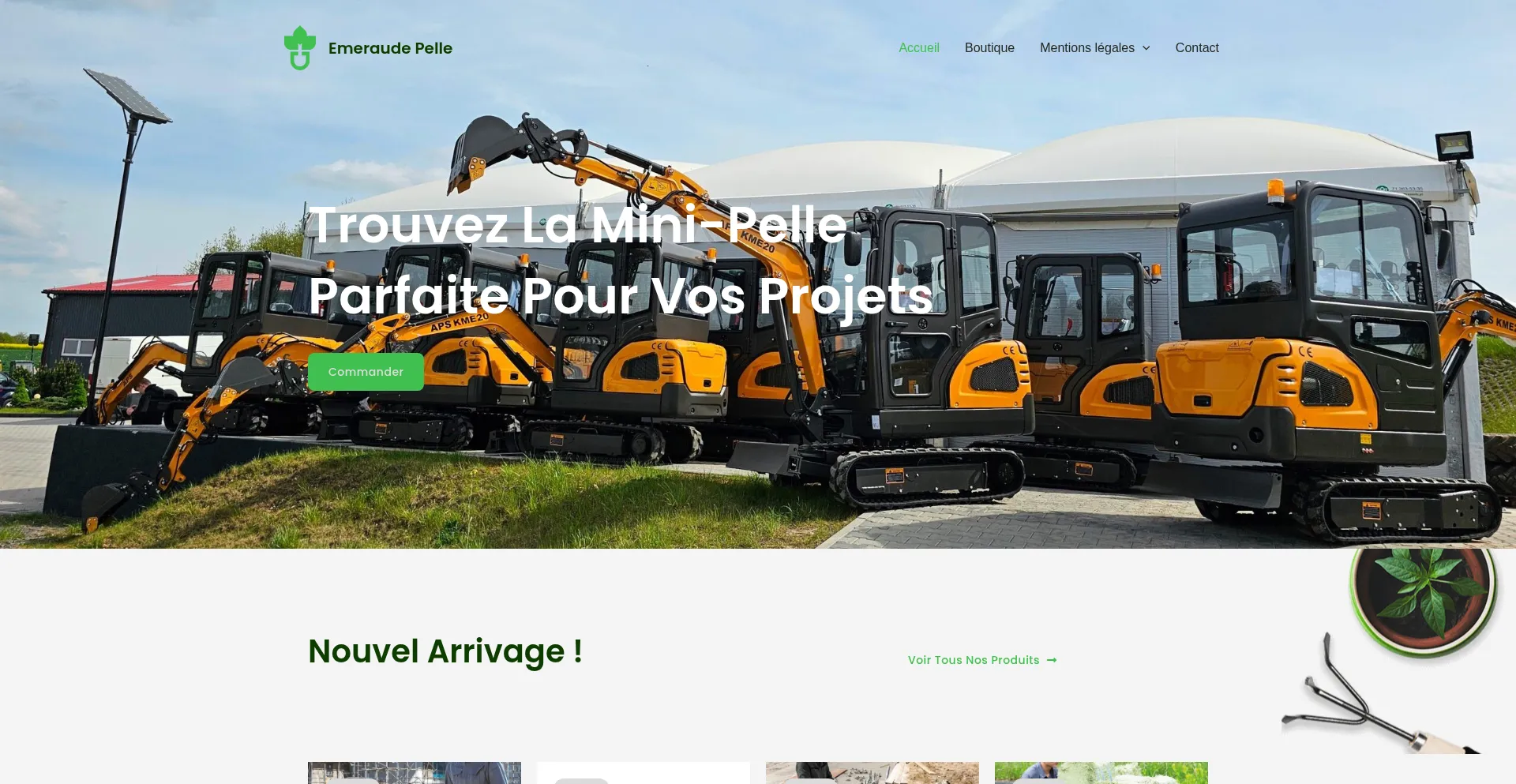 Emeraude-pelle.com 安全可靠吗？