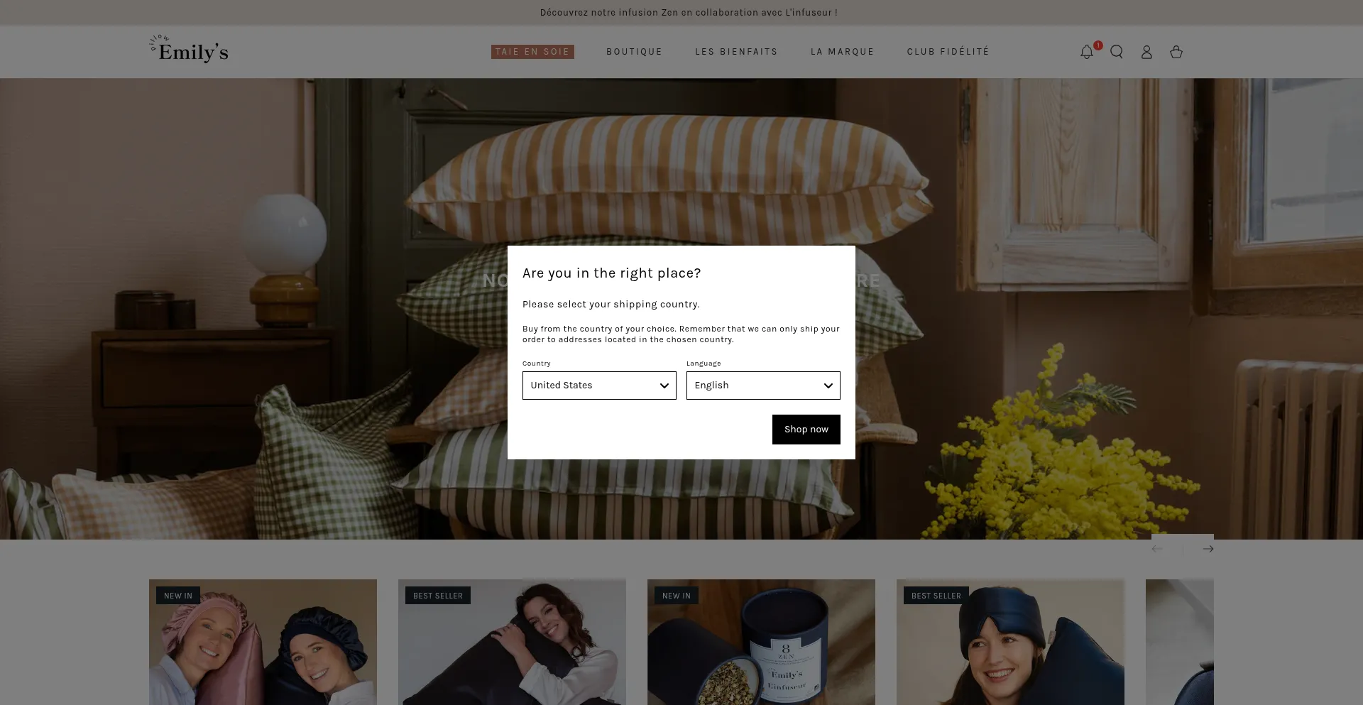 Website screenshot of Emilyspillow.com