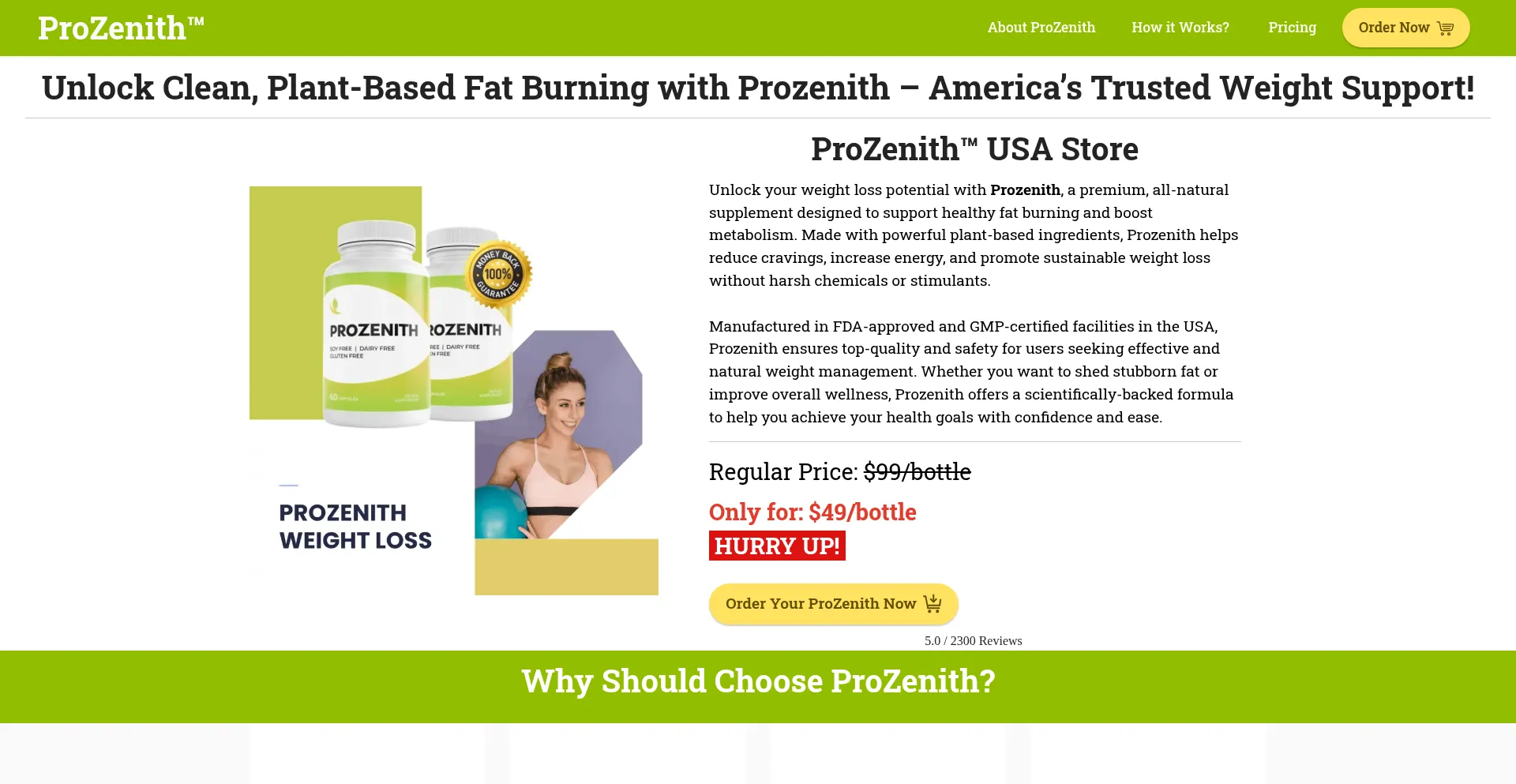 Website screenshot of En-en-en--prozenith.com