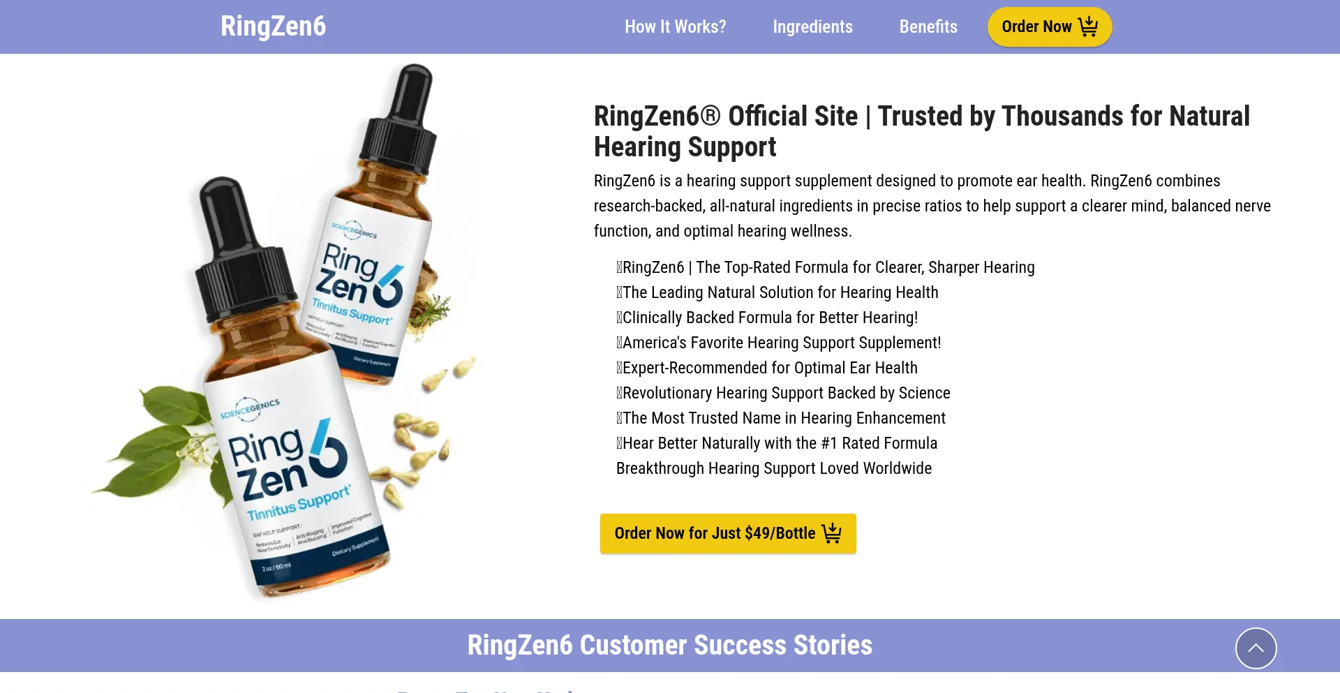 Website screenshot of En-en-ringzen6.com