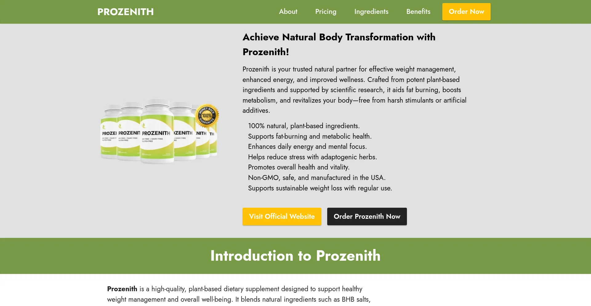Website screenshot of En-prozenith.com