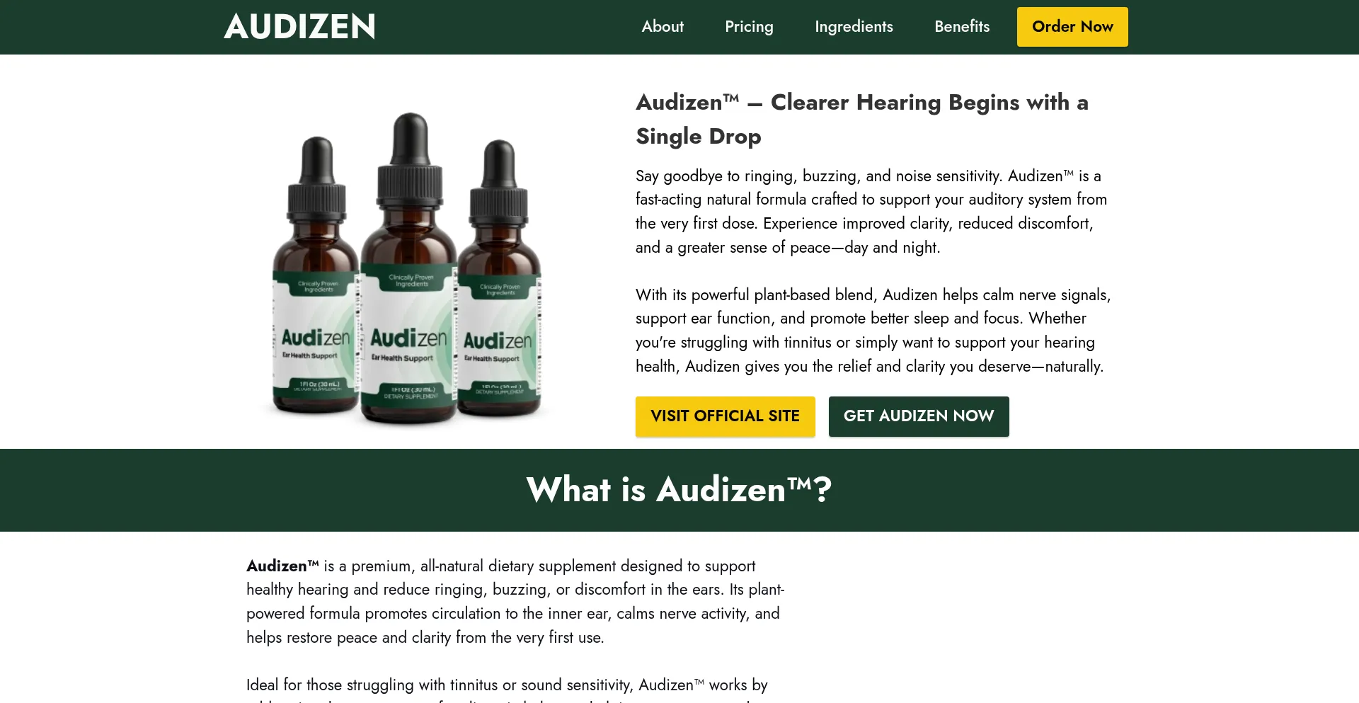 Website screenshot of En-us-audizan.com