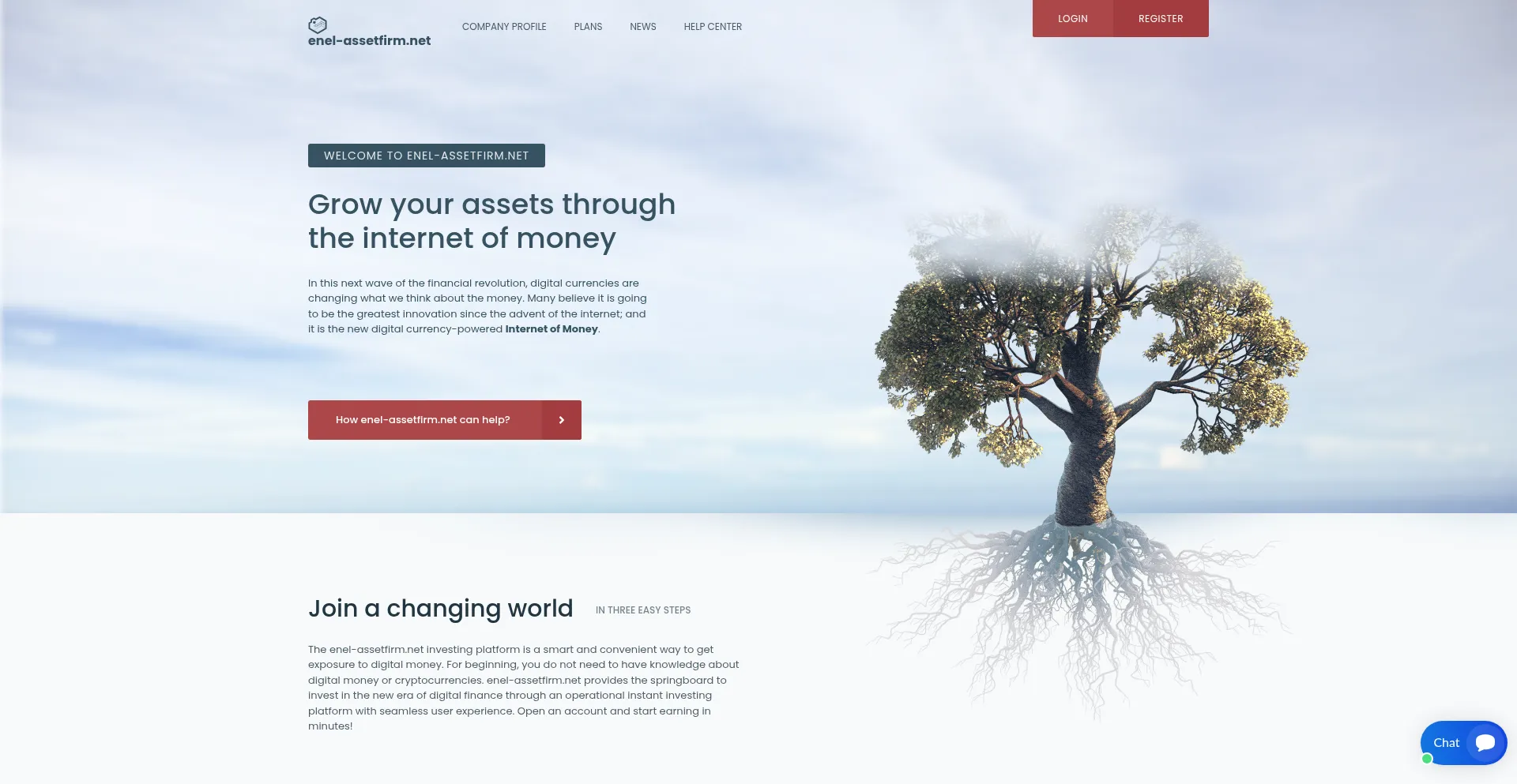 Enel-assetfirm.net