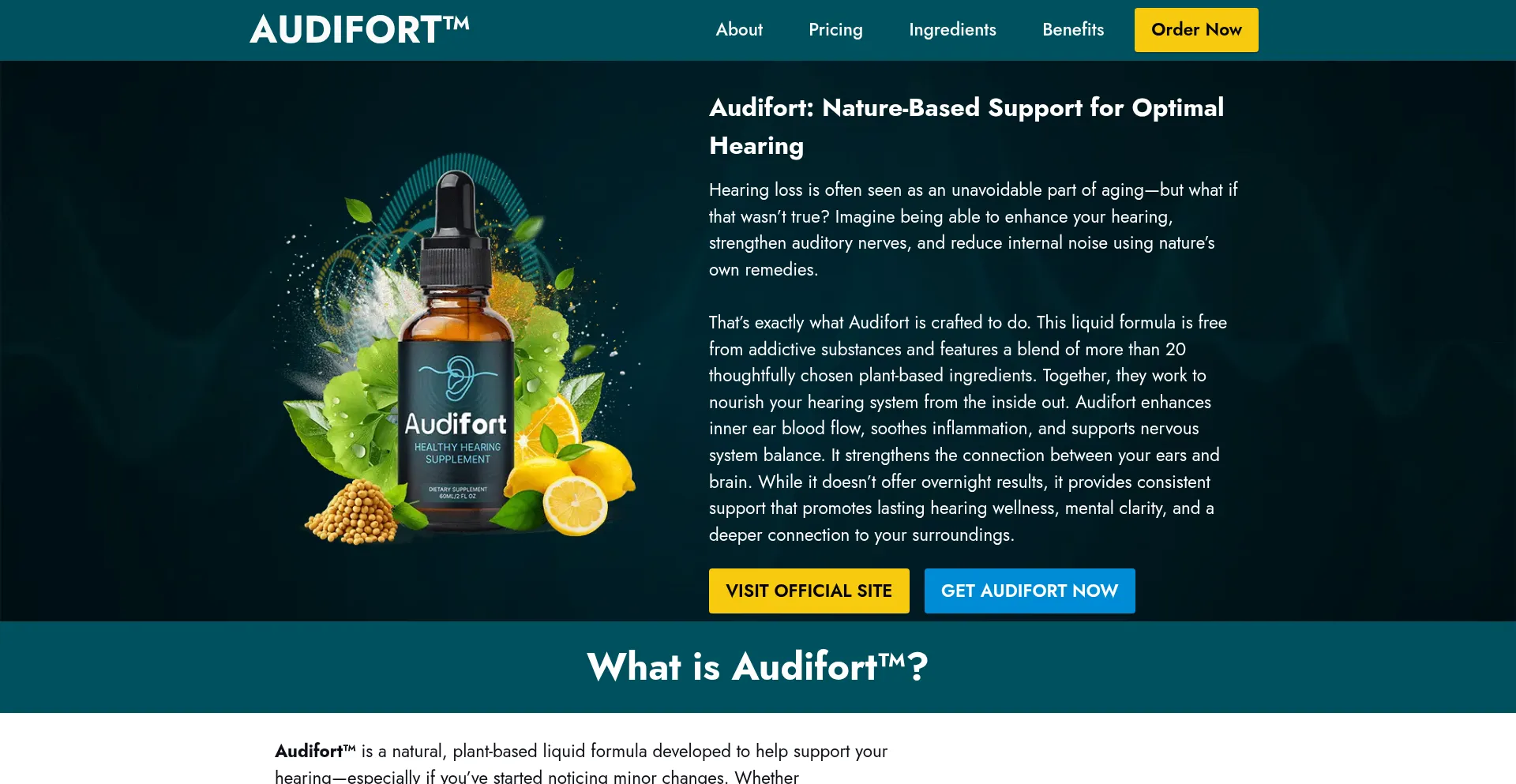 Eng-en-usa-audifort.com Screenshot