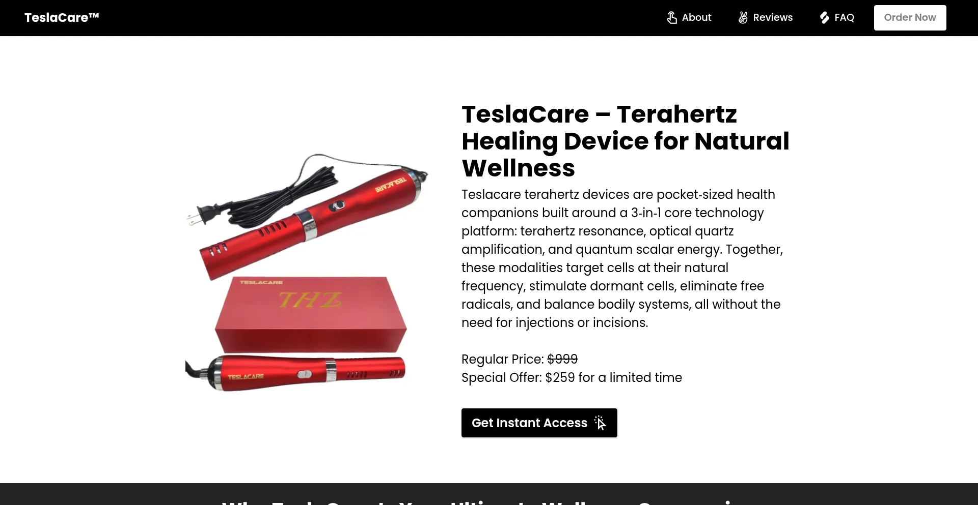 Website screenshot of Eng-teslacare.com