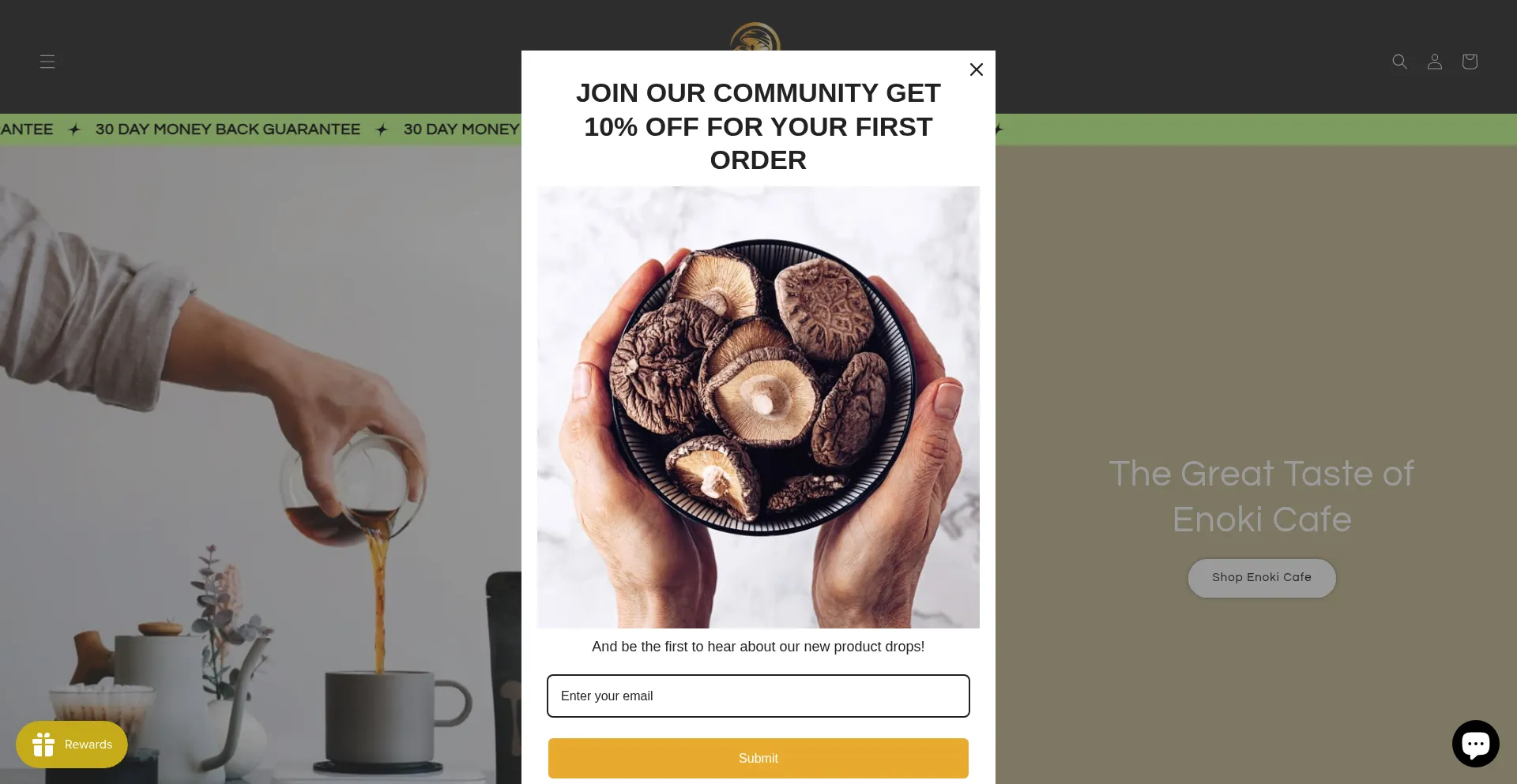 Enokicafe.com Screenshot
