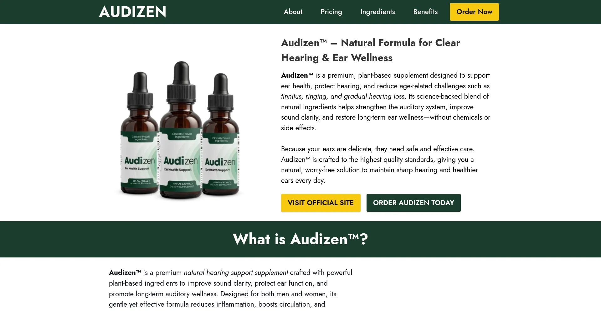 Website screenshot of Enus-en-audizen.com