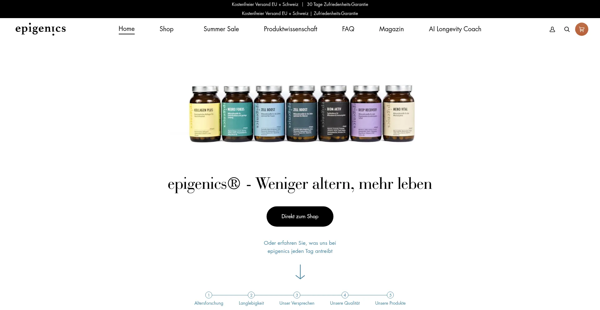 Website screenshot of Epigenics.eu