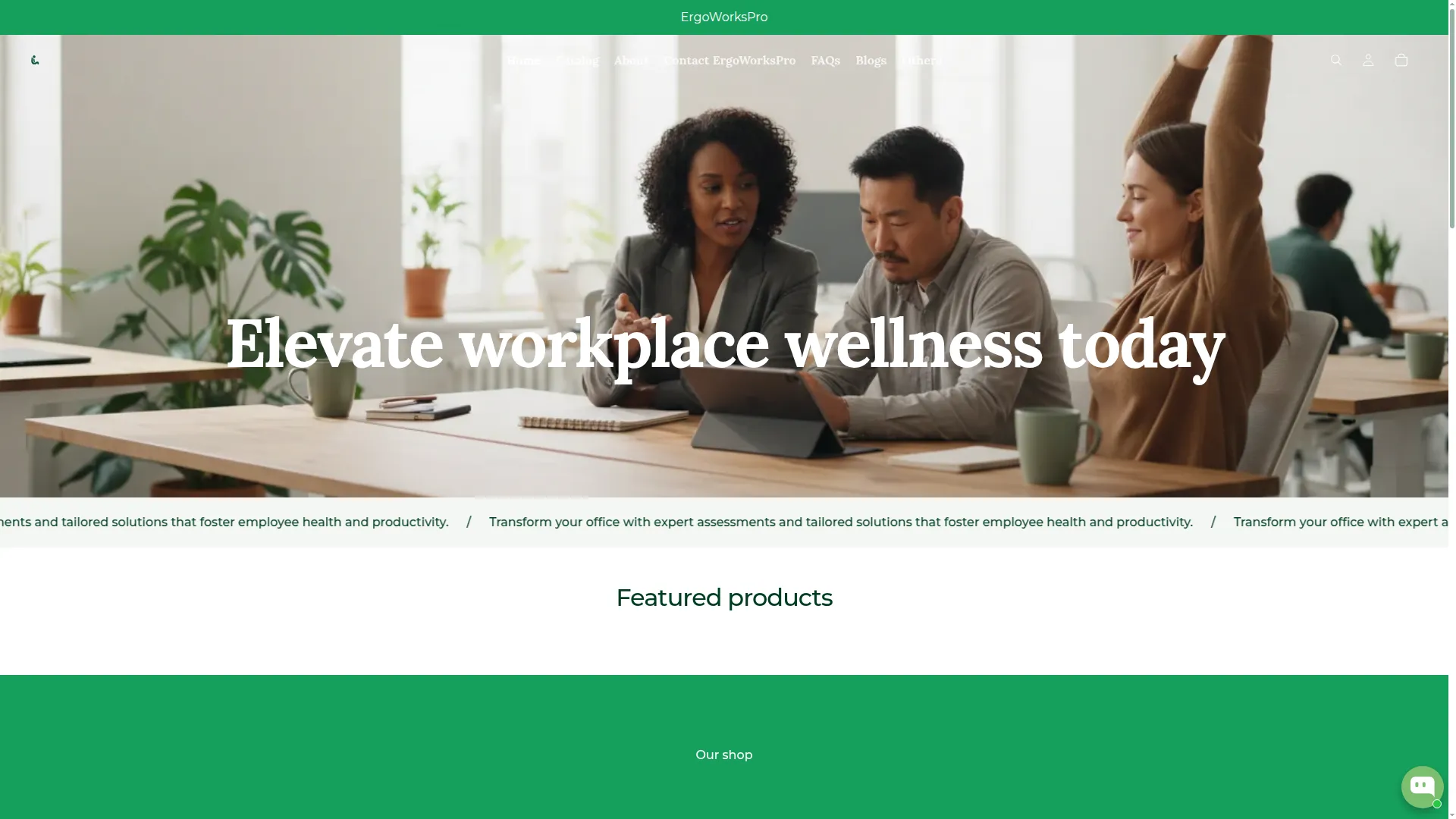 Ergoworkspro.com