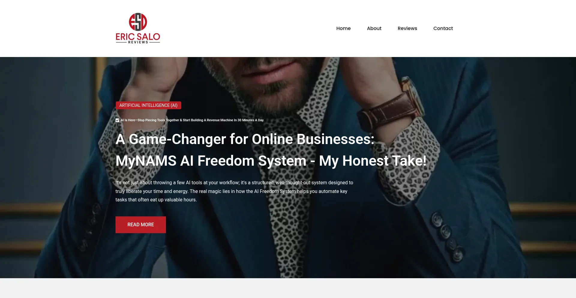 Website screenshot of Ericsaloreviews.click
