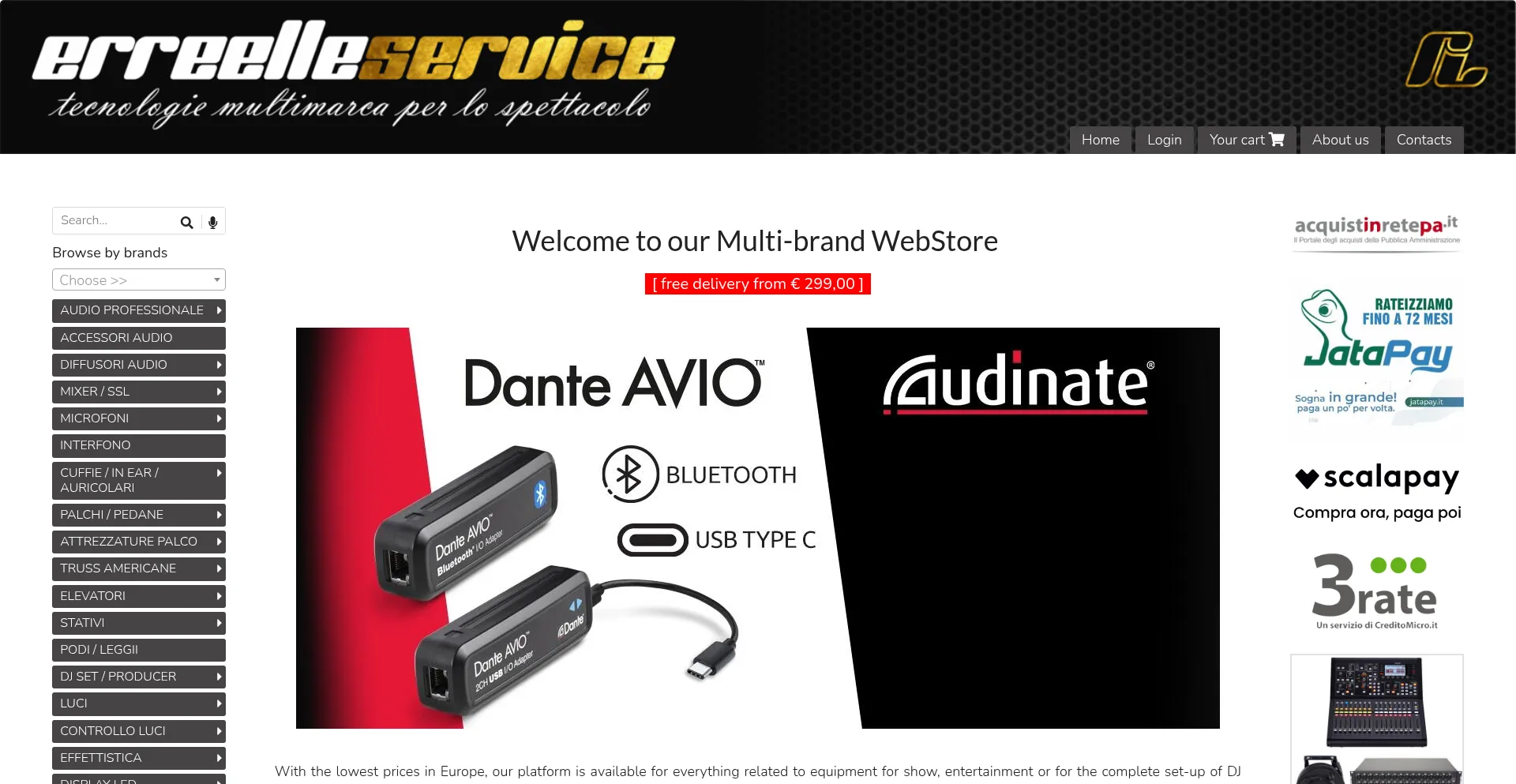 Website screenshot of Erreelleservicestore.it