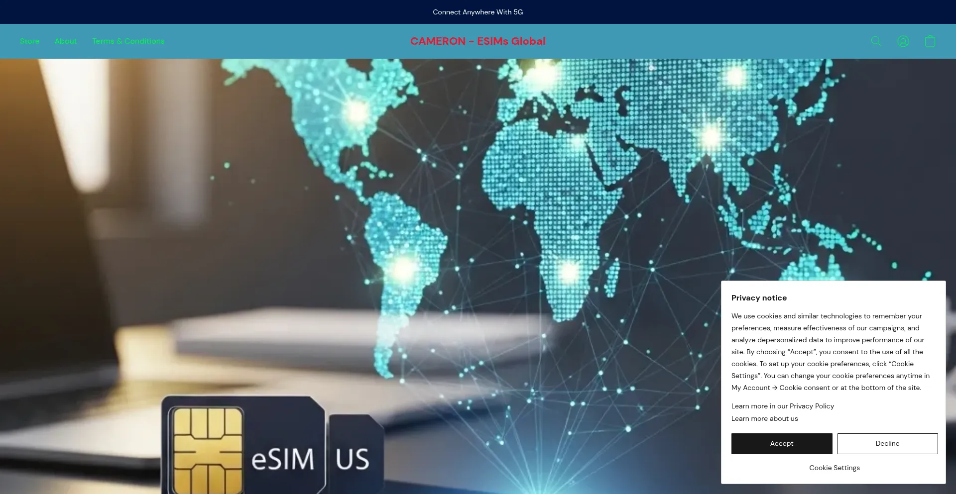 Website screenshot of Esimvn.org