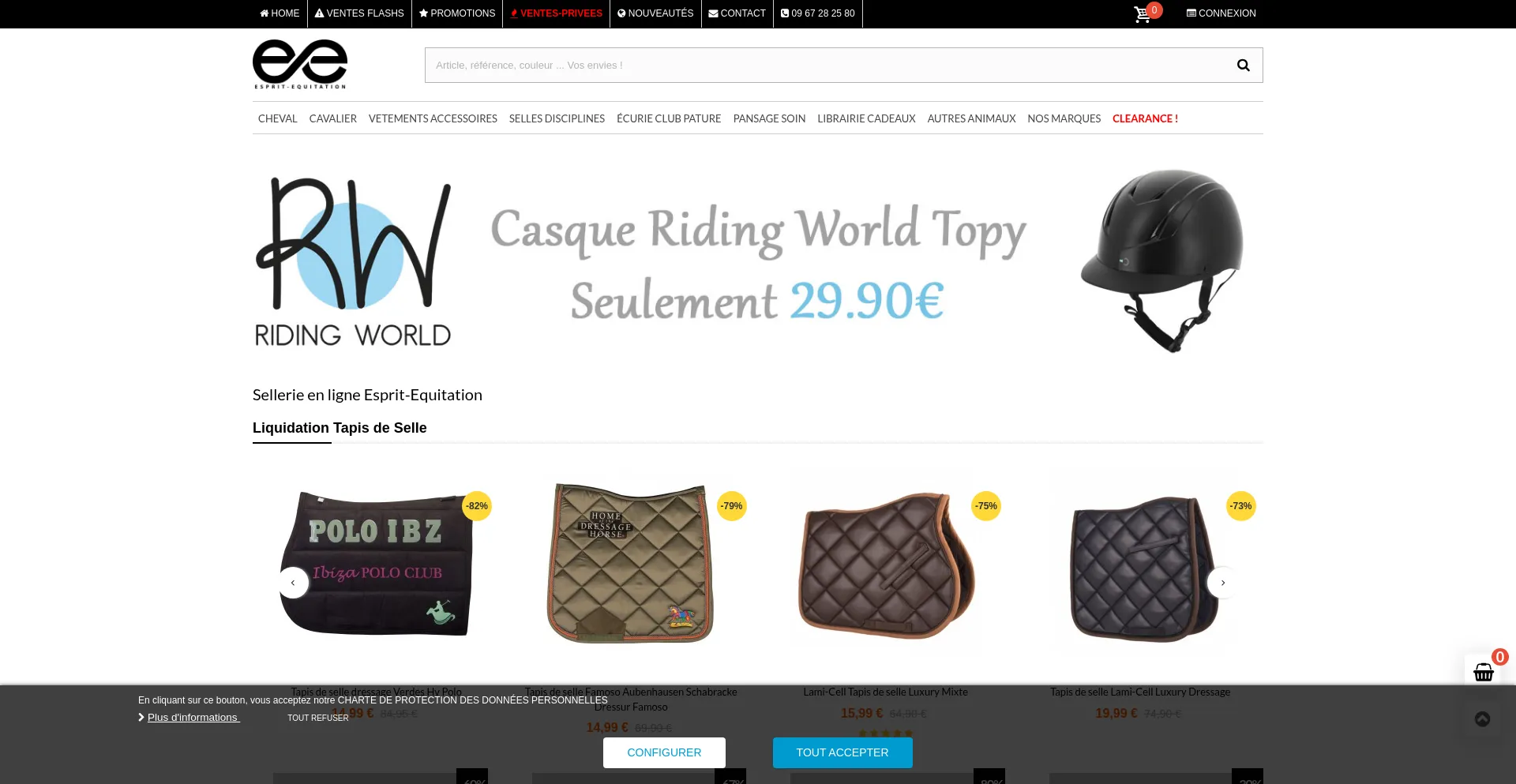 Esprit-equitation.com Screenshot