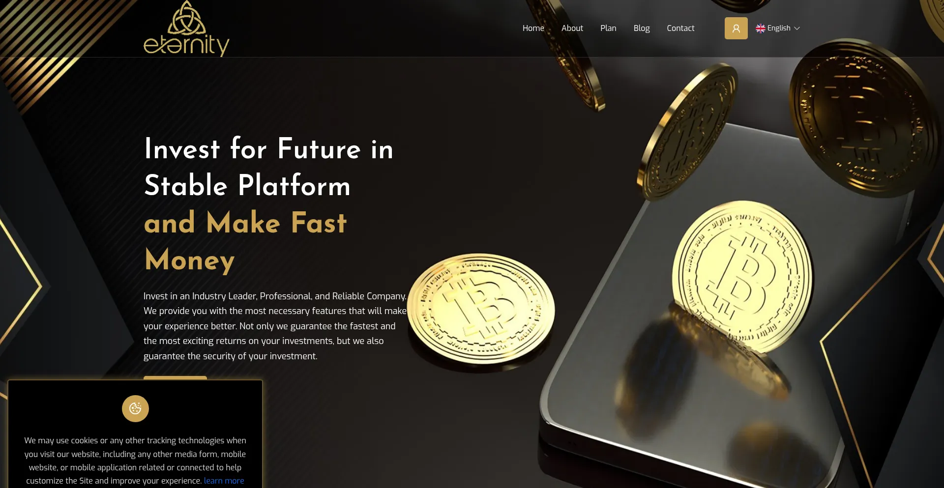 Website screenshot of Eternityhtq.info