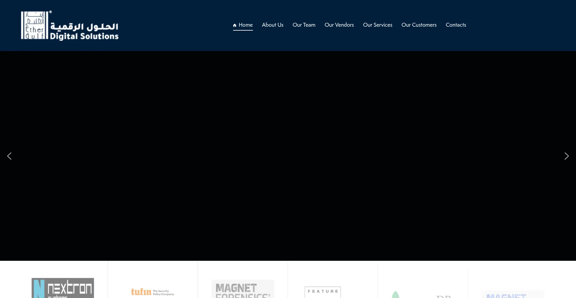 Website screenshot of Ethergulf.com