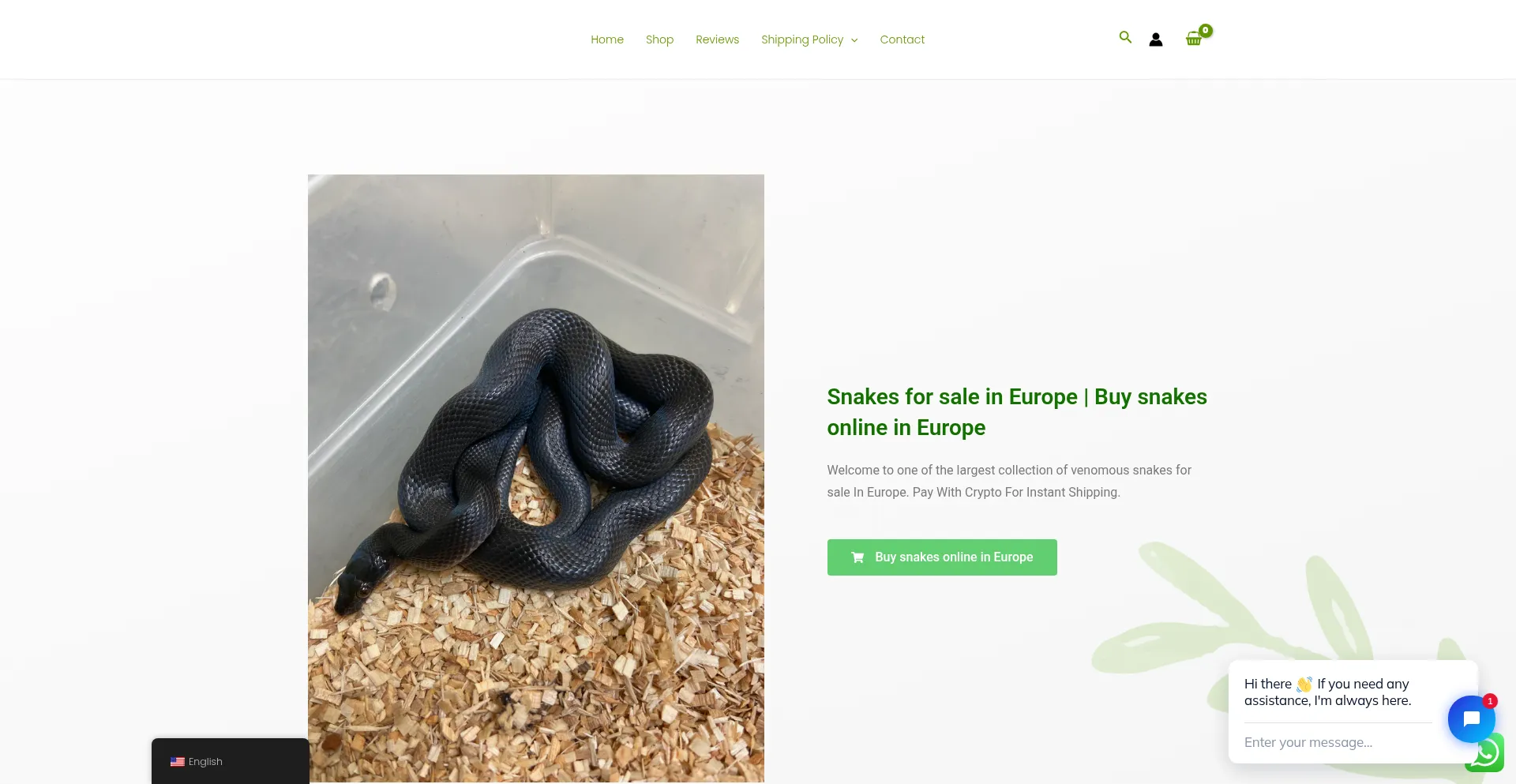 Website screenshot of Eu-reptielenwinkel.com