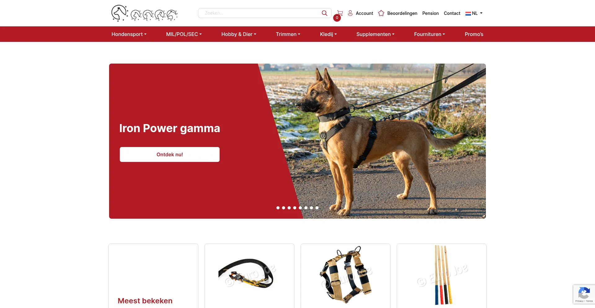 Euro-joe.com Screenshot
