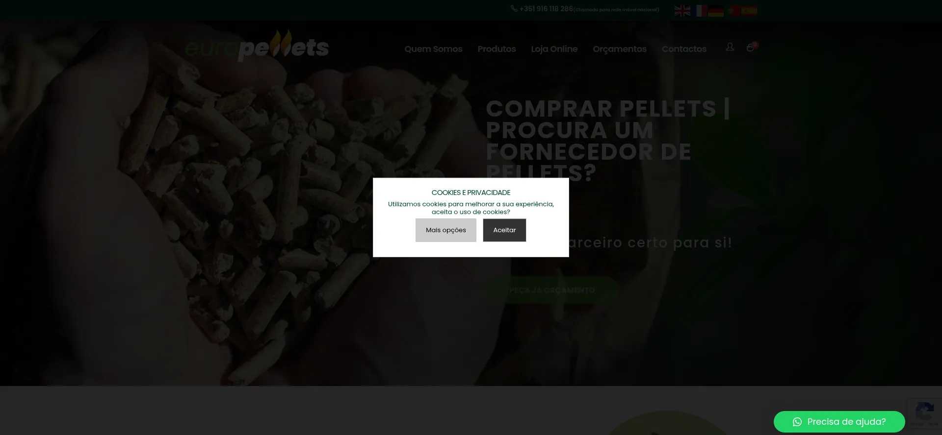 Euro-pellets.com 安全可靠吗？