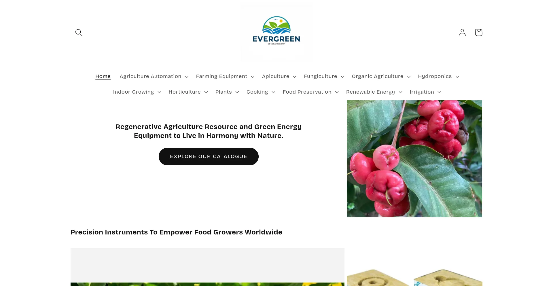 Evergreenbotany.com