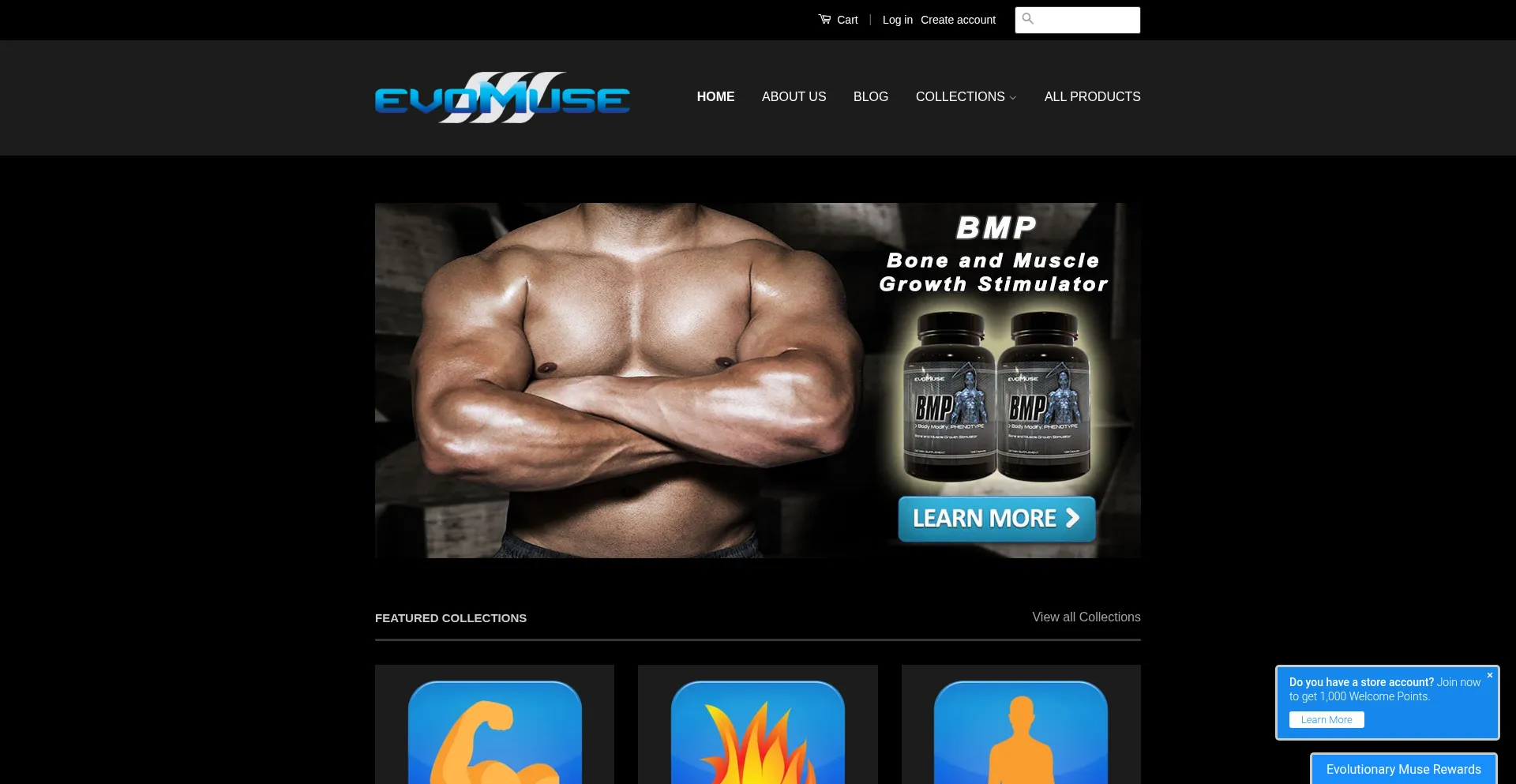 Website screenshot of Evolutionarymuse.com