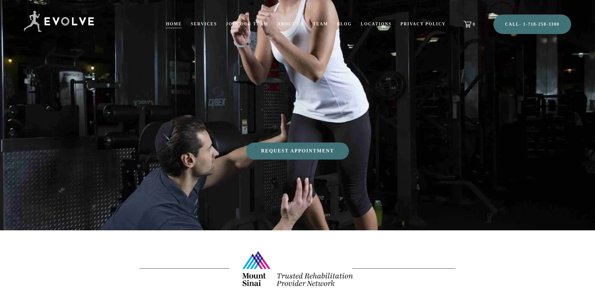Website screenshot of Evolveny.com