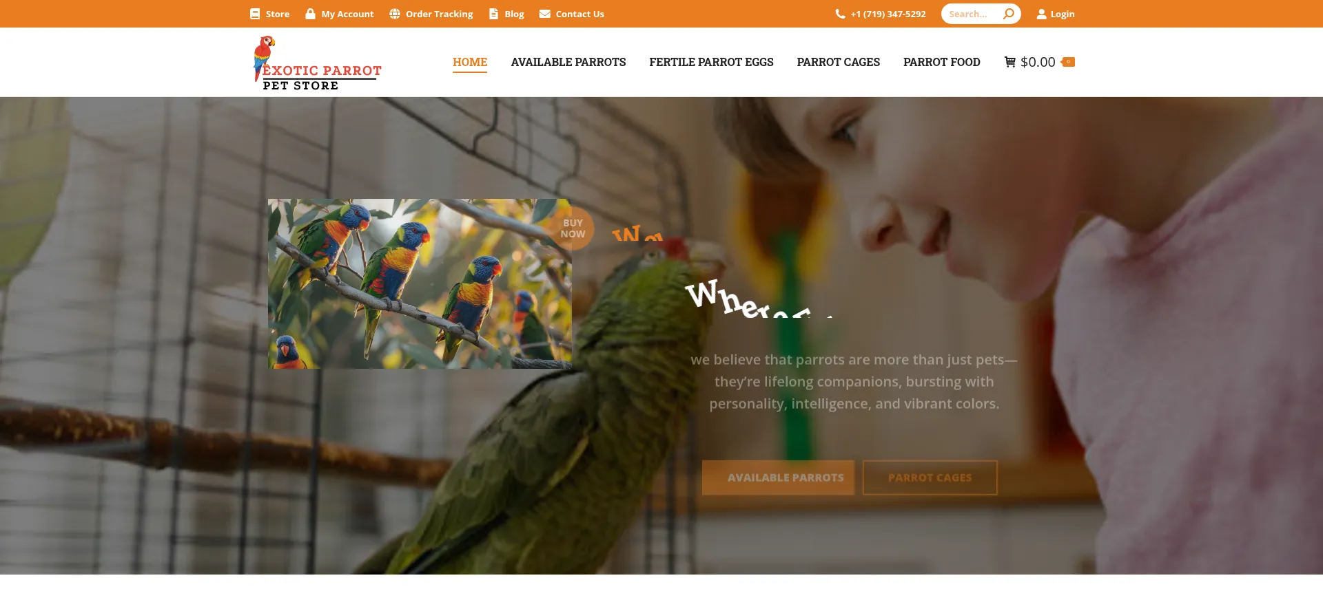 Exoticparrotpetstore.com