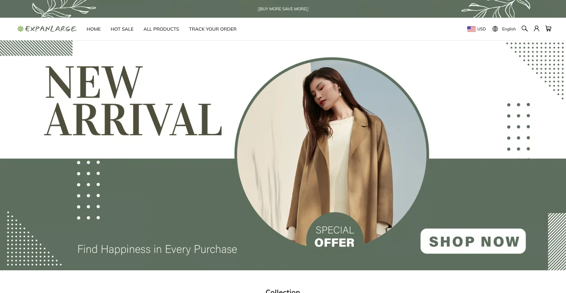 Website screenshot of Expanlarge.com