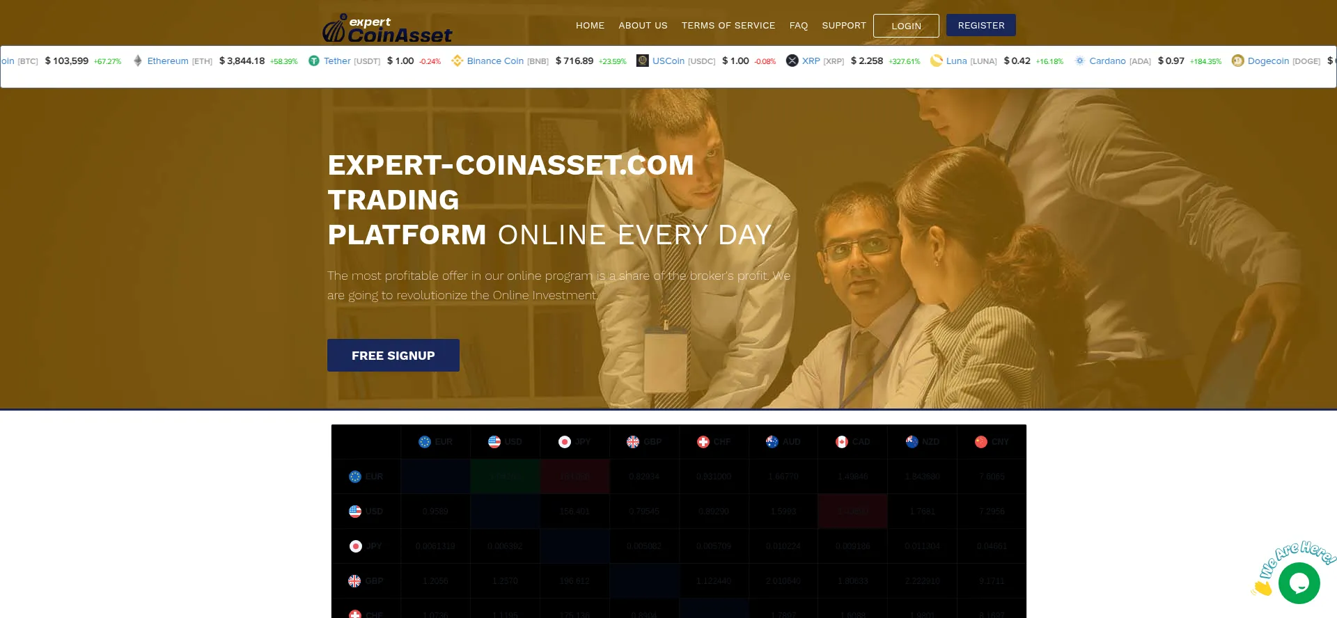 Website screenshot of Expert-coinasset.com