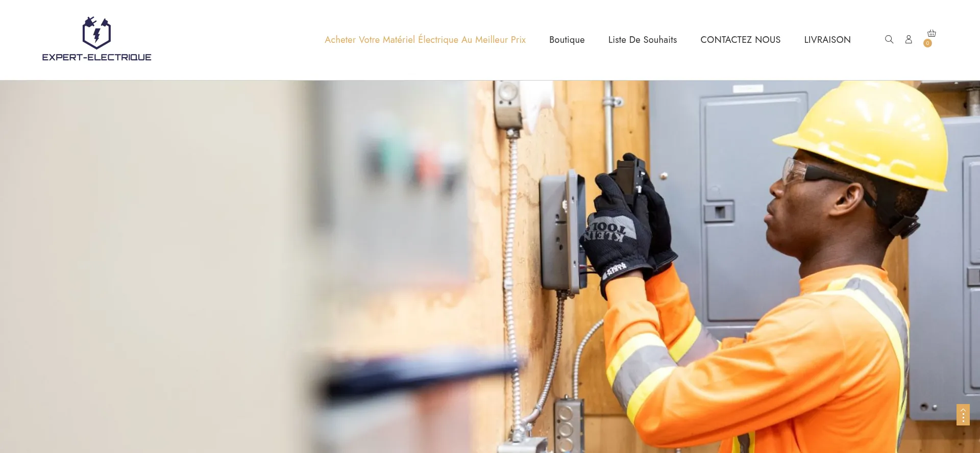 Website screenshot of Expert-electrique.com