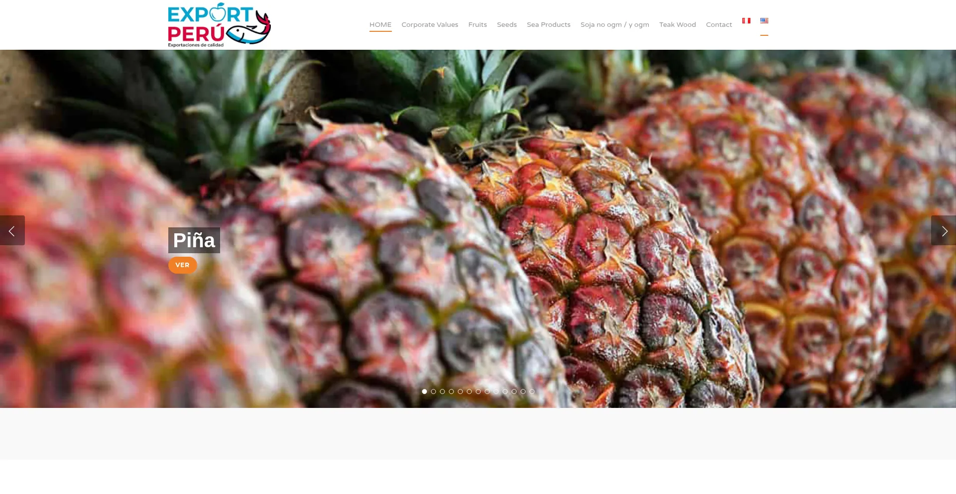 Website screenshot of Exportperusac.com