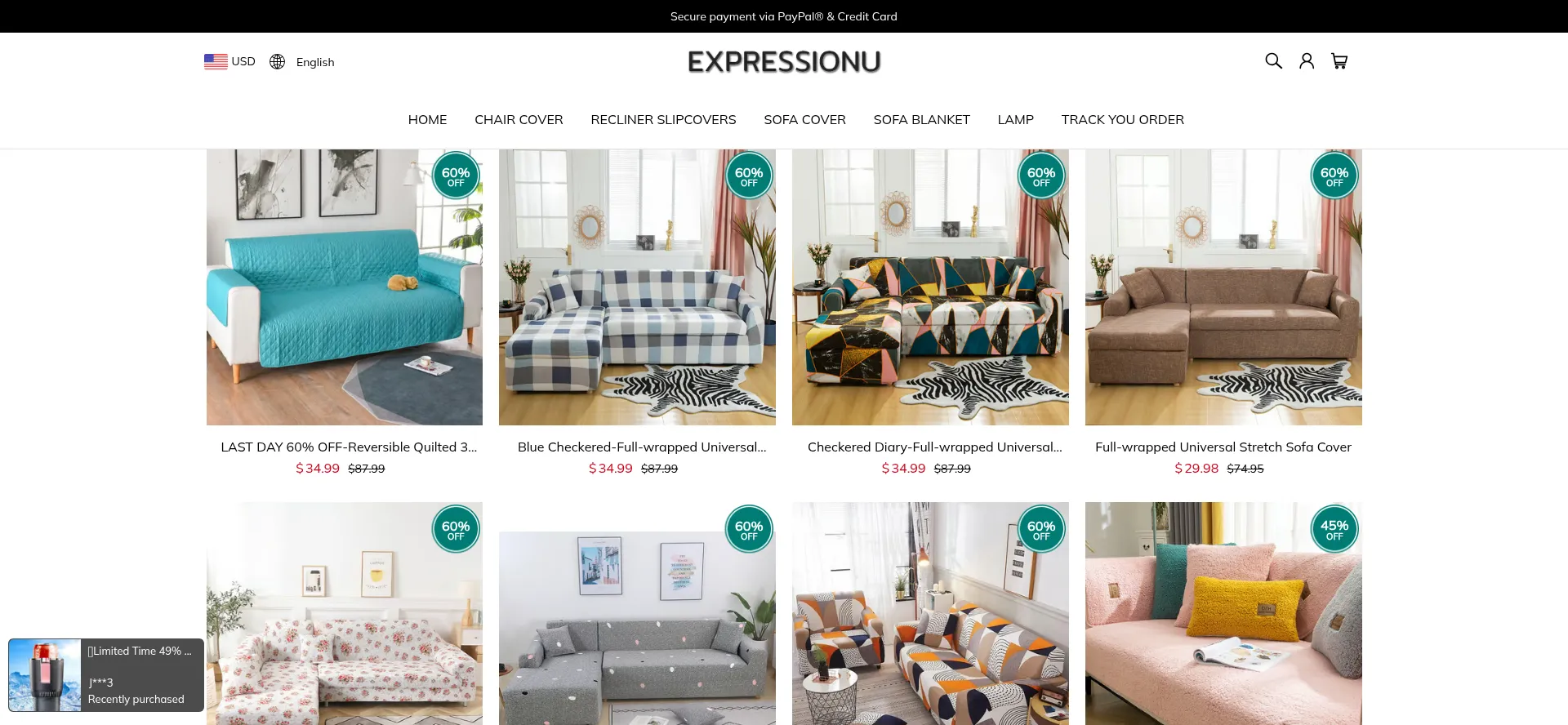 Website screenshot of Expressionu.com