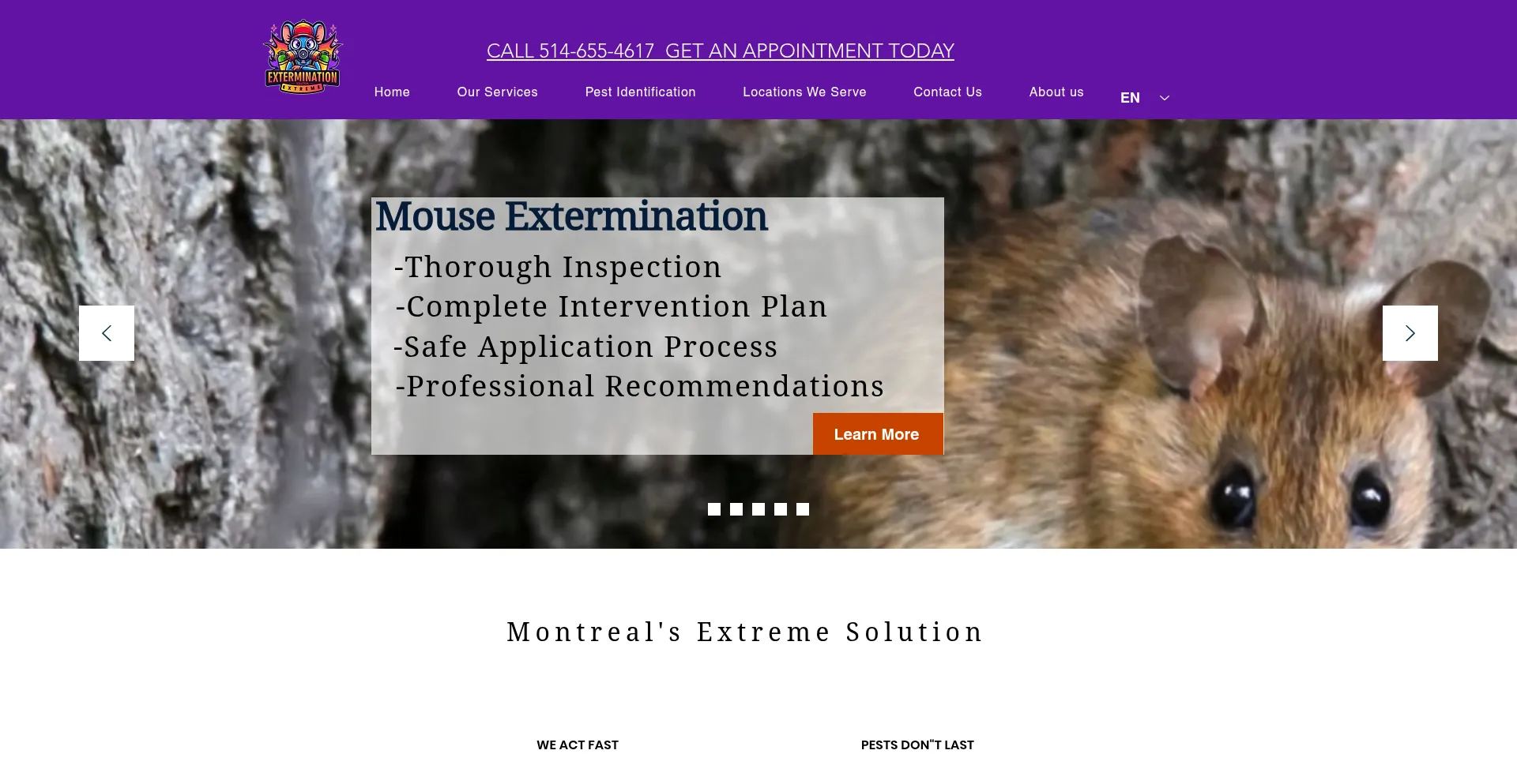 Website screenshot of Exterminationextreme.com