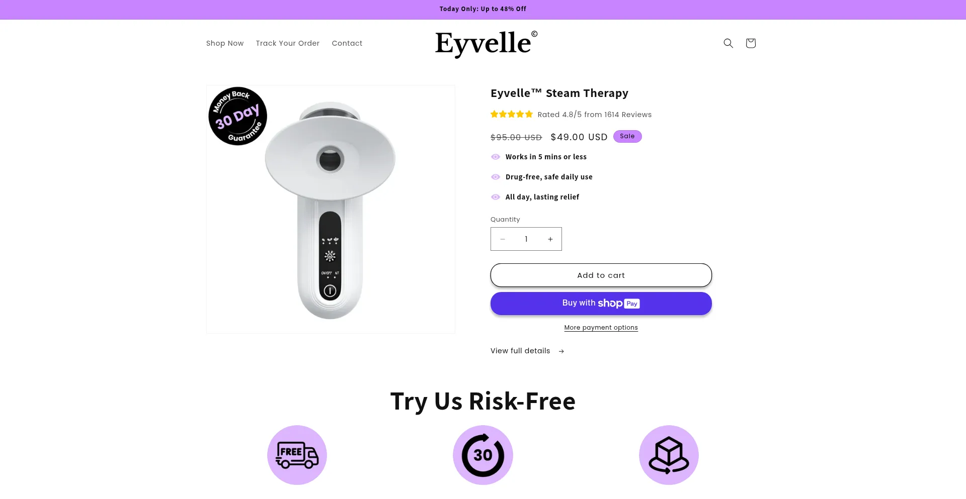 Website screenshot of Eyvelle.com