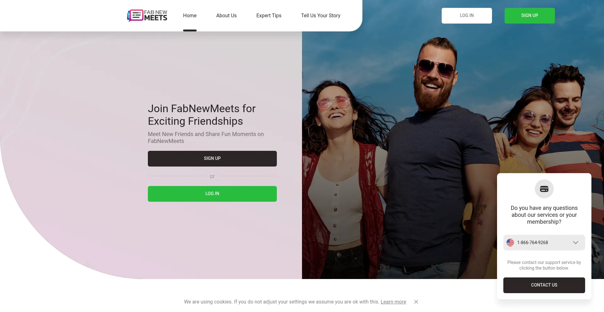 Website screenshot of Fabnewmeets.com