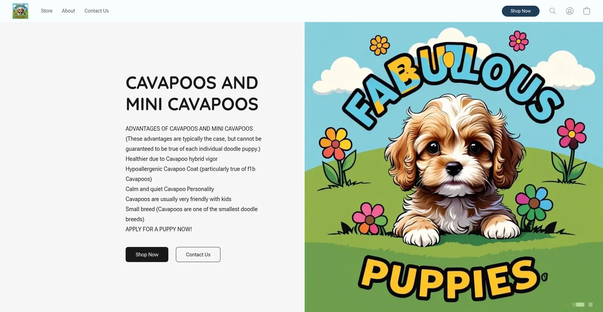 Website screenshot of Fabulouscavapoopuppies.company.site