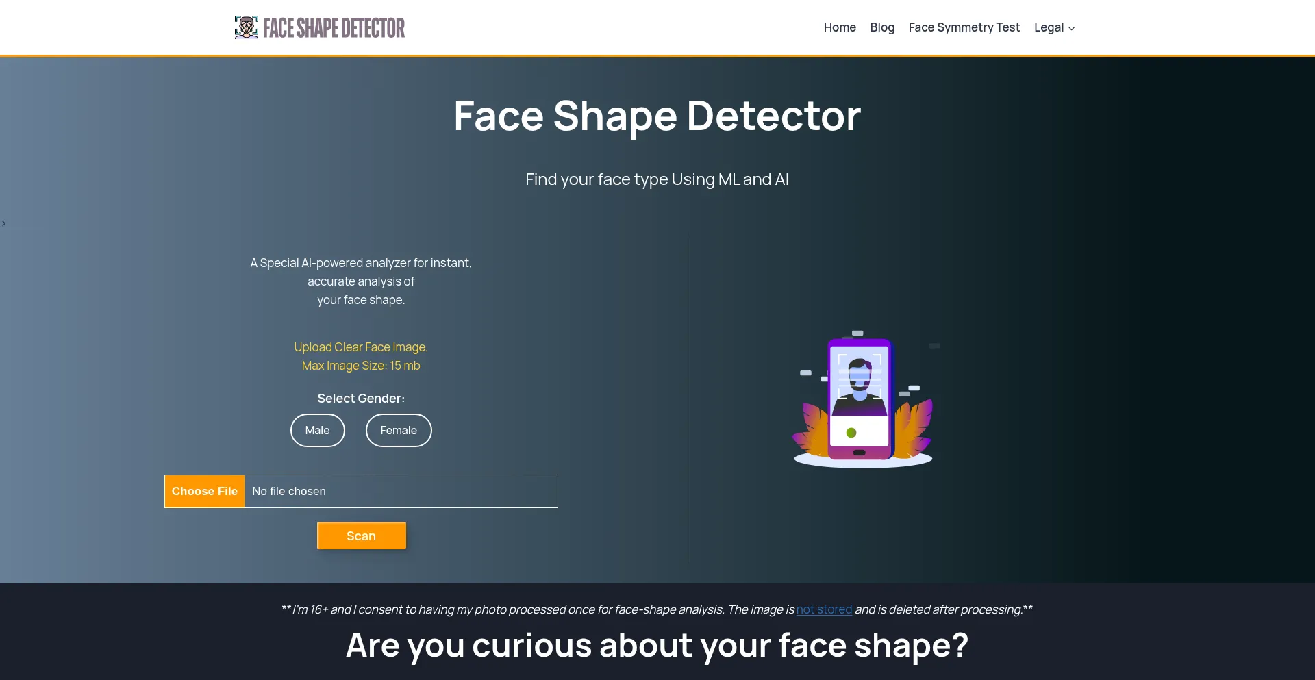 Faceshapesdetector.com