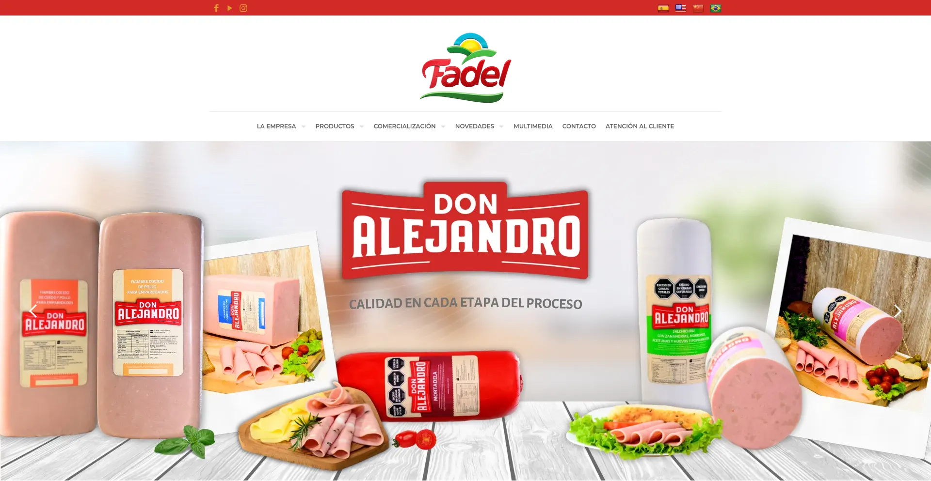 Website screenshot of Fadelsa.com.ar