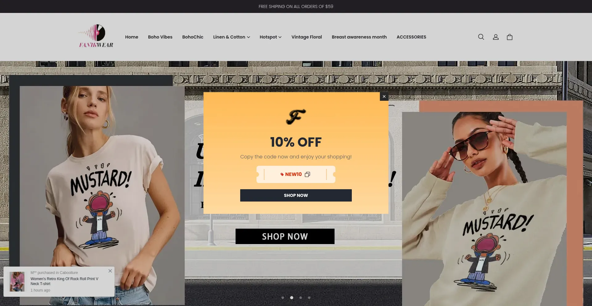Website screenshot of Fanikwear.com