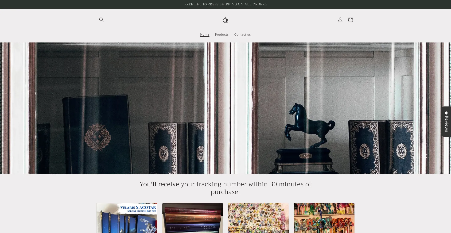 Website screenshot of Fantasyhola.shop