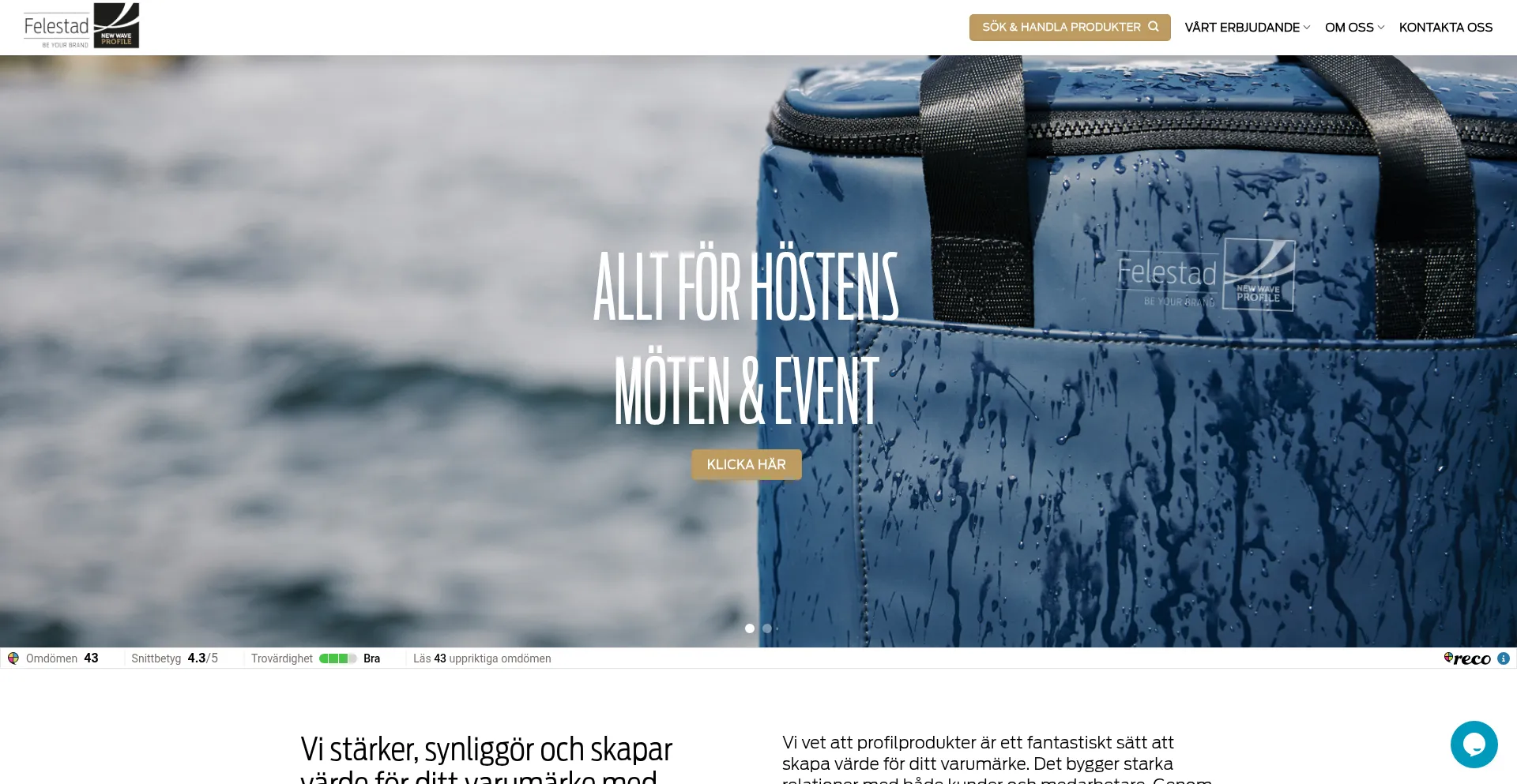 Website screenshot of Felestad.se