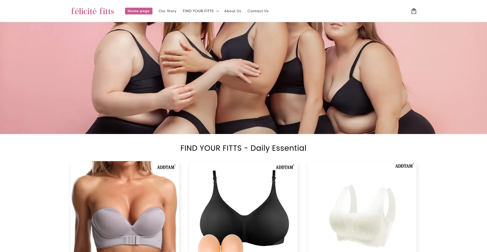 Website screenshot of Felicitefitts.com