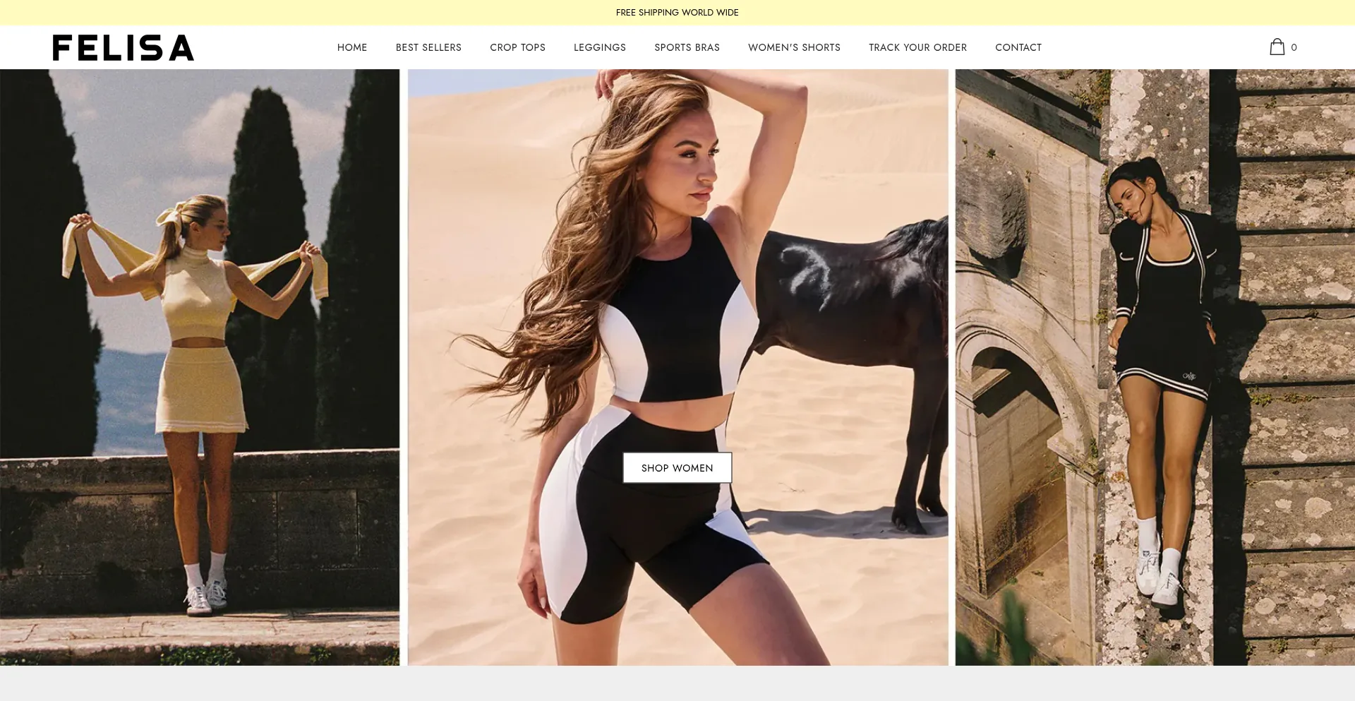 Website screenshot of Felisa-store.com