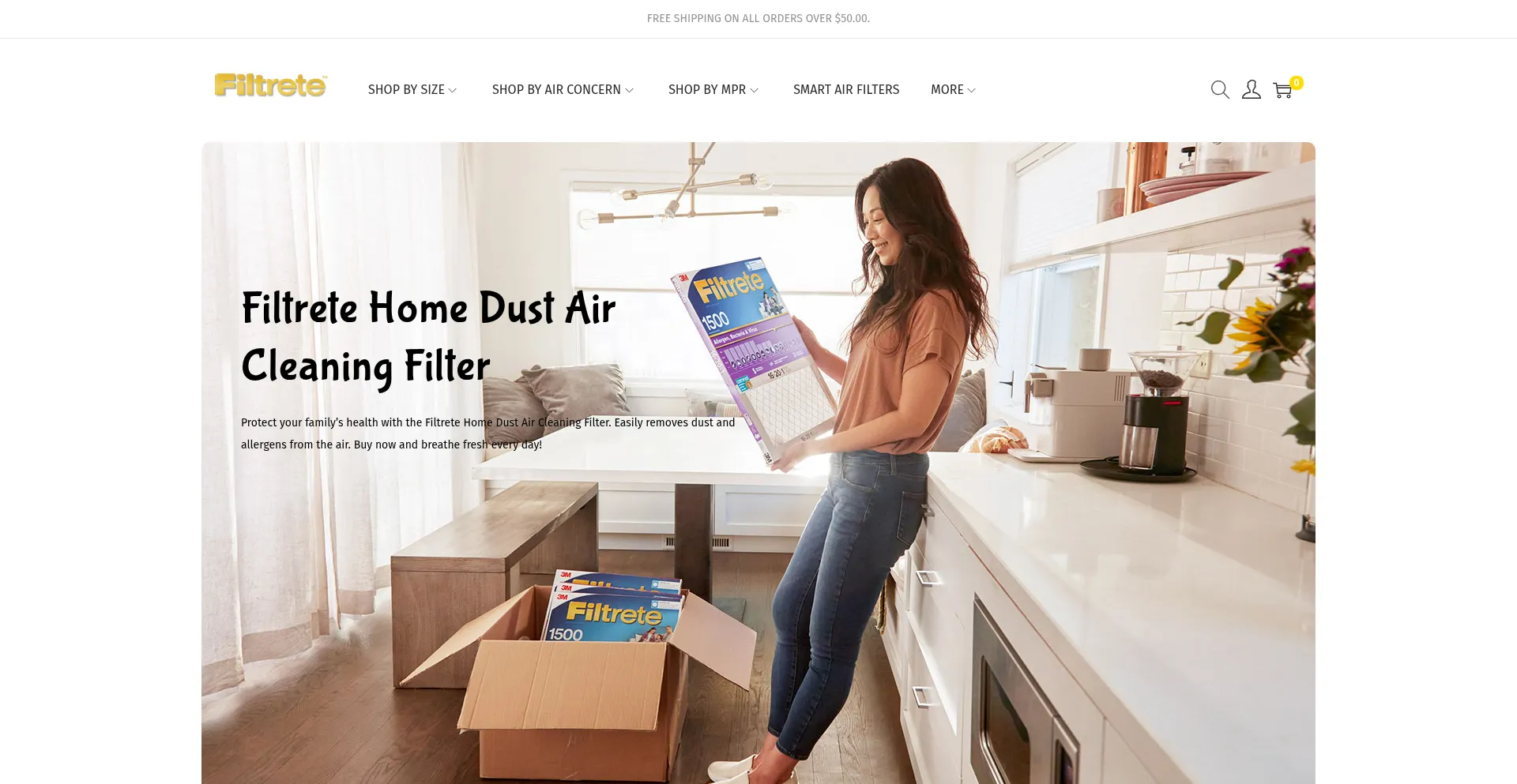 Website screenshot of Filtretesale.com