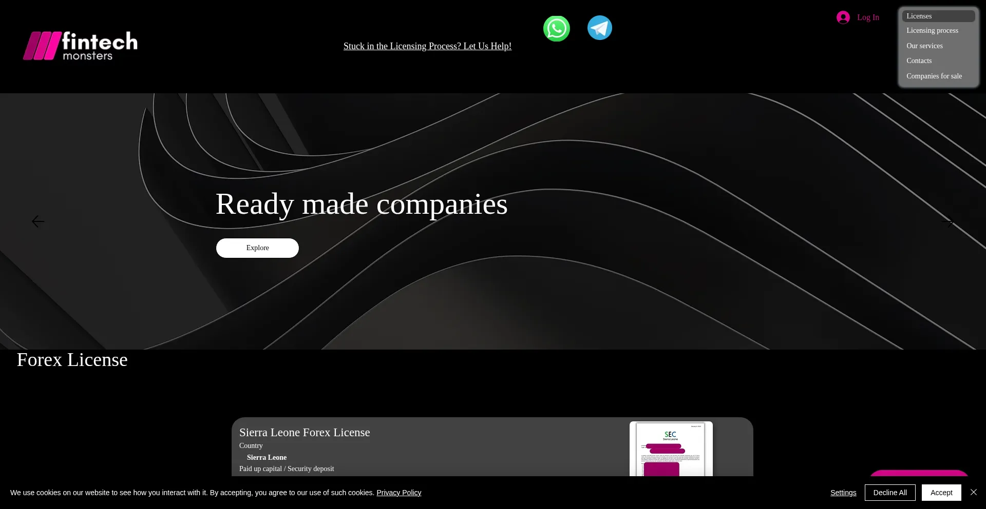 Website screenshot of Fintechmonsters.com