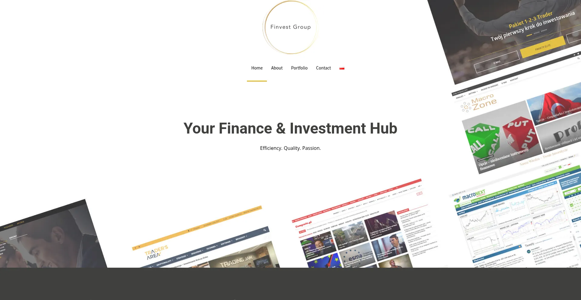 Website screenshot of Finvest.group