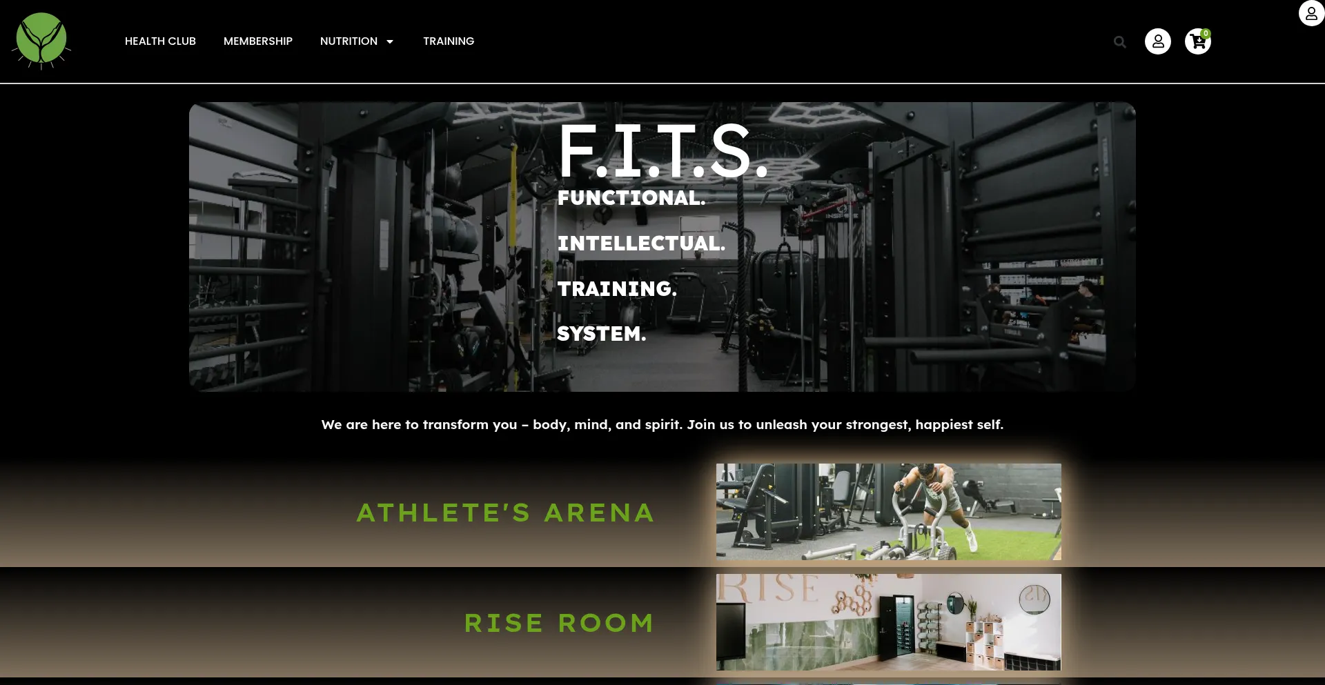 Website screenshot of Fits.com