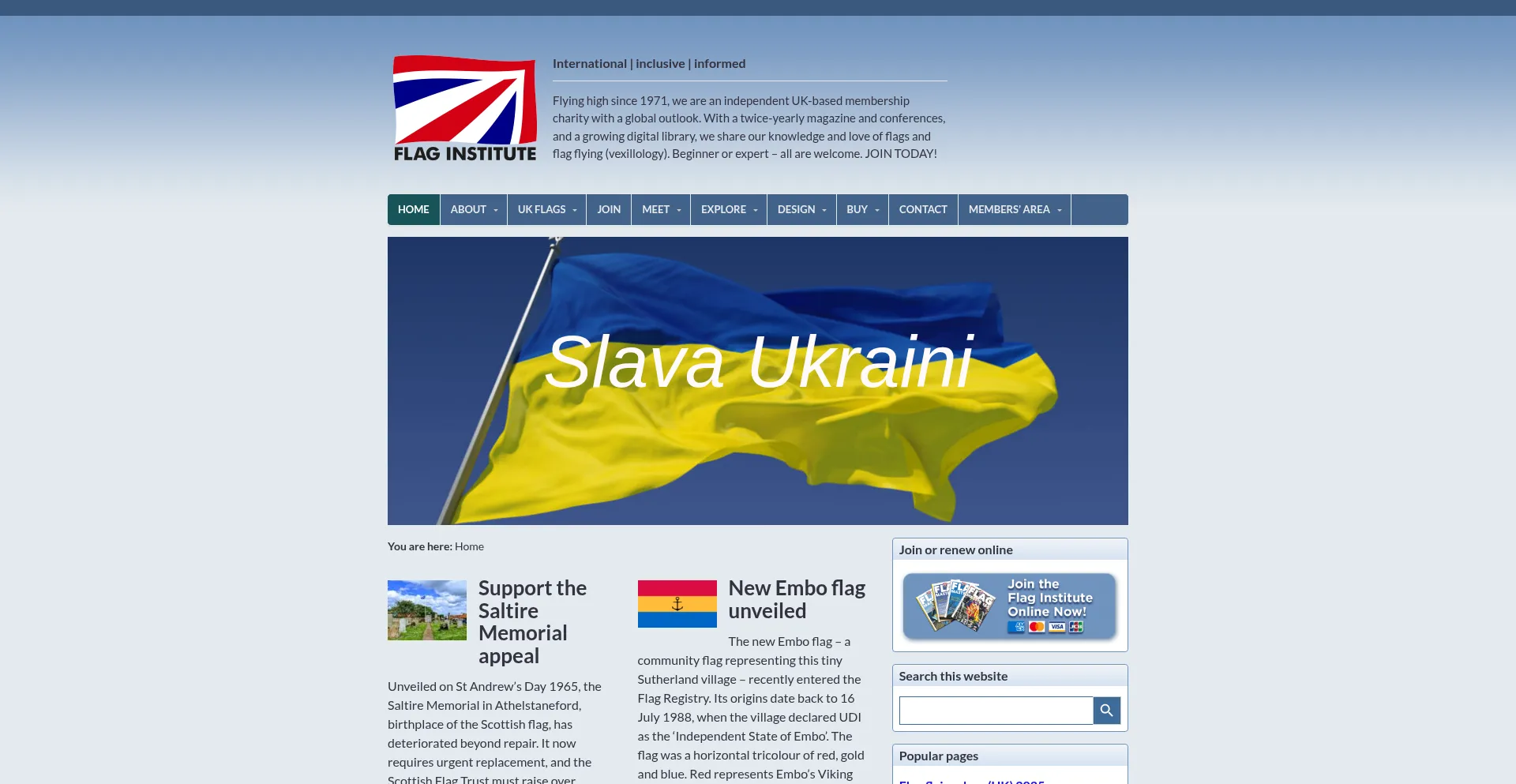 Flaginstitute.org