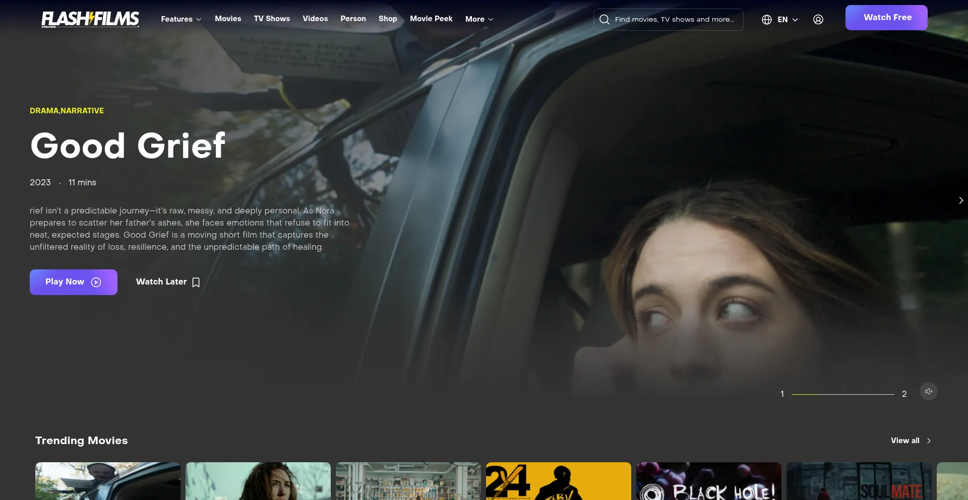 Website screenshot of Flashfilms.tv