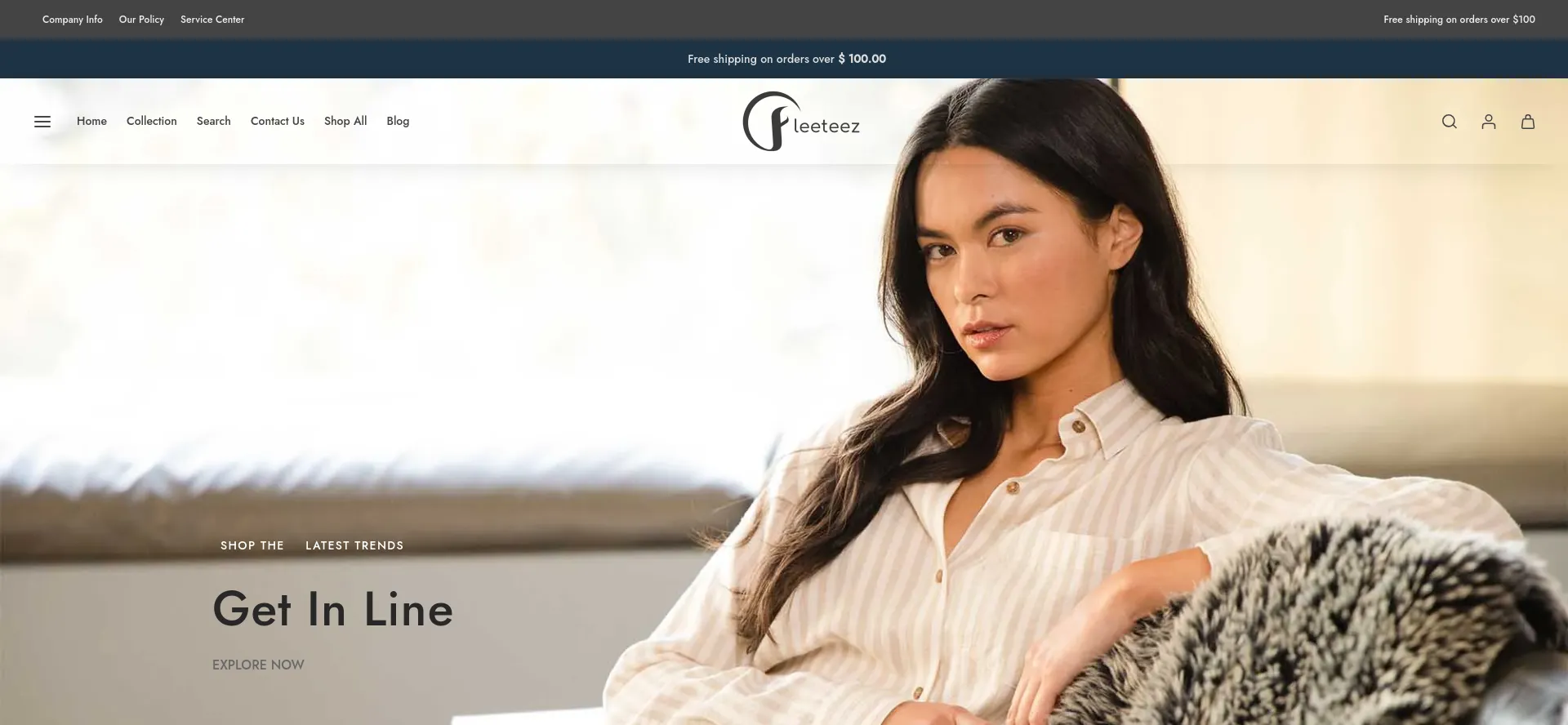 Website screenshot of Fleeteez.com