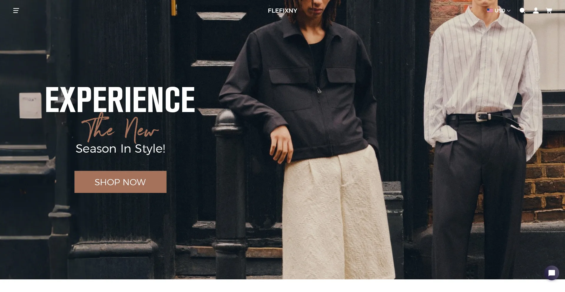 Flefixny.com Screenshot